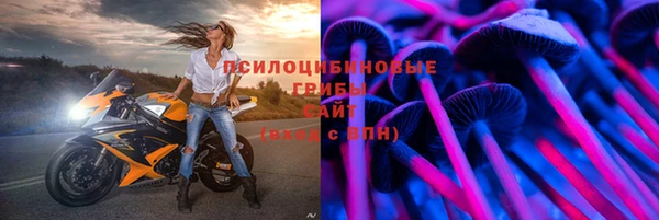 прущие грибы Бронницы
