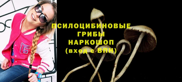 гидра Бородино