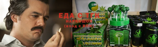 прущие грибы Бронницы