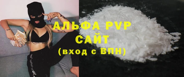 гидра Бородино