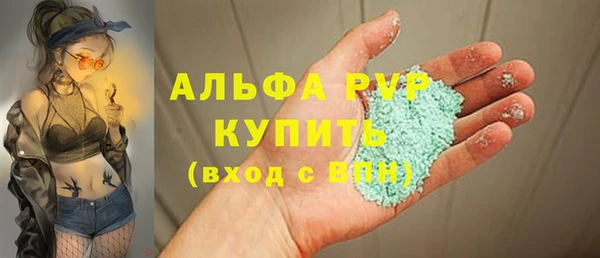 прущие грибы Бронницы