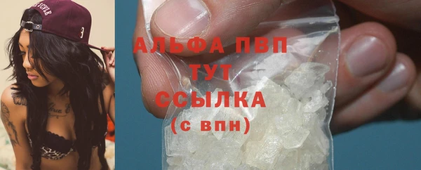 гидра Бородино