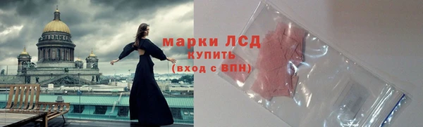 прущие грибы Бронницы
