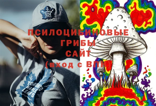 гидра Бородино