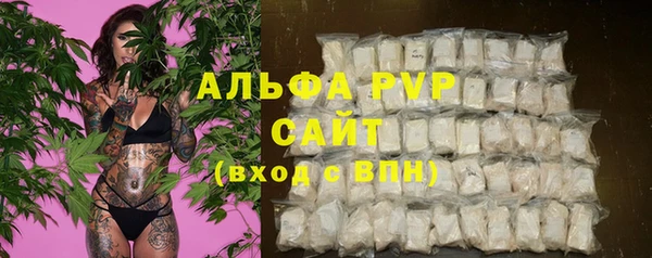 прущие грибы Бронницы