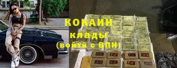 прущие грибы Бронницы