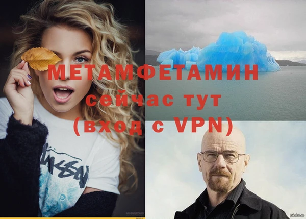 прущие грибы Бронницы