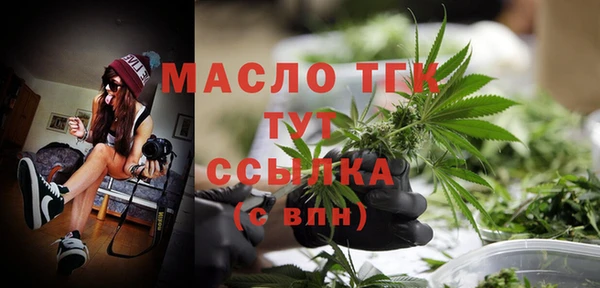 гидра Бородино