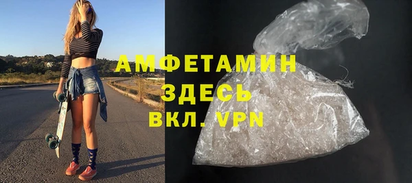 прущие грибы Бронницы
